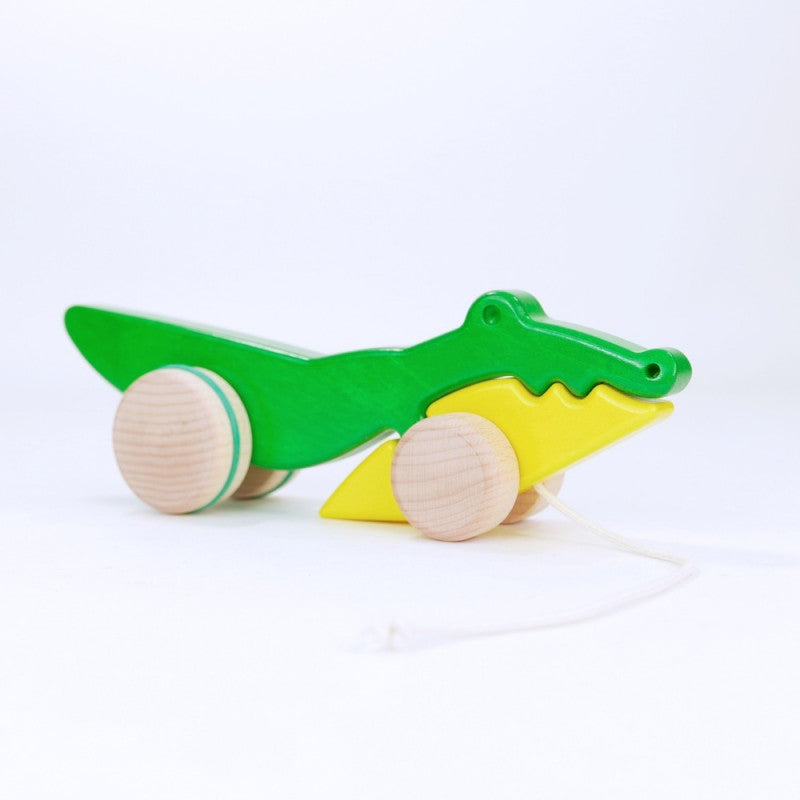 Crocodile